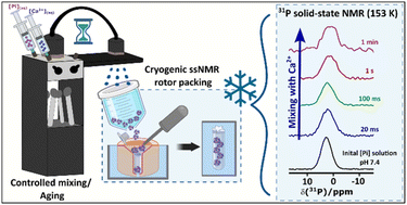 Graphical abstract: Millisecond-time-scale controlled freeze-quench for solute-intermediate analysis by solid-state NMR