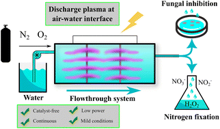 Graphical abstract: Streamer-spark discharge at the water surface as a source of plasma-activated water: nitrogen fixation yields and biocidal efficiency