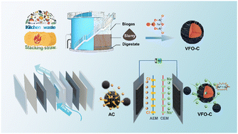 Graphical abstract: Iron vacancy accelerates biogas slurry-derived Fe3O4/mesoporous carbon for water purification