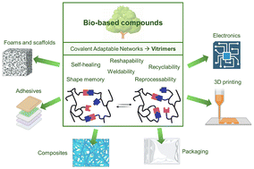 Graphical abstract: Bio-based vitrimers: chemistry, performance and applications