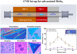 Graphical abstract: Systematic study of CVD-growth parameters in NaCl-assisted growth of MoSe2 nanostructures: nanoribbons, dendrites and spirals