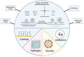 Graphical abstract: From design to application: amphiphilic copolymers as antimicrobial materials