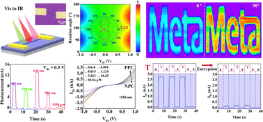Graphical abstract: A broadband polarization-sensitive photodetector and an infrared encoder based on high crystallinity 1D Bi2(Se,S)3 ternary nanowires