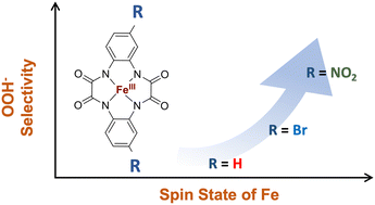 Graphical abstract: Medium spin FeIII regulating the peroxide selectivity in the heterogeneous oxygen reduction reaction of spin-polarized Fe-TAML complexes