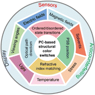 Graphical abstract: Photonic crystal-based structural color switches