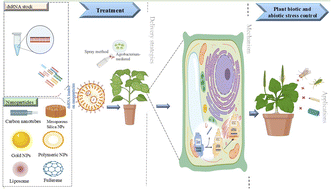 Graphical abstract: Advances in RNAi-based nanoformulations: revolutionizing crop protection and stress tolerance in agriculture