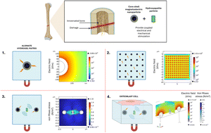 Graphical abstract: Magnetoelectric/piezoelectric-based materials for coupled electrical and mechanical stimulation for bone repair: an in silico study