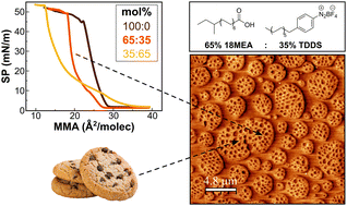 Graphical abstract: Self-assembly of microscale architectures with nanoscale inclusions