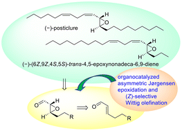 Graphical abstract: Concise organocatalyzed epoxidation based total synthesis of (−)- and (+)-trans-posticlures and (−)-(6Z,9Z,4S,5S)-trans-4,5-epoxynonadeca-6,9-diene
