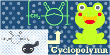Graphical abstract: Poly(bridged bicycle)s synthesized via cyclopolymerization of cyclic diacrylates