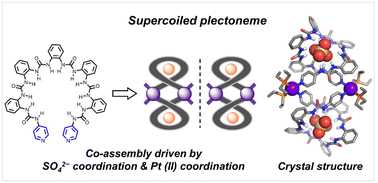 Graphical abstract: Doubly crossed supercoils built by cooperative anion and metal coordination
