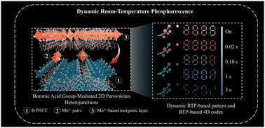 Graphical abstract: Dynamic room-temperature phosphorescence enabled by boronic acid group-mediated 2D perovskite heterojunctions for time-resolved multidimensional anti-counterfeiting and encryption