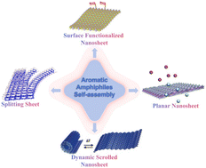Graphical abstract: Dynamic supramolecular nanosheet structures formed by aromatic amphiphiles and their functions