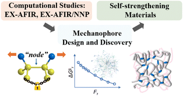 Graphical abstract: “Node” facilitated thermostable mechanophores for rapid self-strengthening in double network materials
