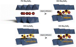 Graphical abstract: Revisiting the ion dynamics in LixCoO2 and NaxCoO2