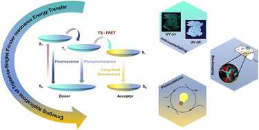 Graphical abstract: Triplet-to-singlet FRET (TS-FRET) in pure organic phosphors: emerging applications and new opportunities