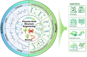 Graphical abstract: Converting natural biopolymers to sustainable bioplastics via structure engineering