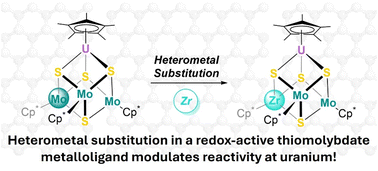 Graphical abstract: Tuning reactivity at uranium through heterometal substitution in a redox-active thiomolybdate metalloligand
