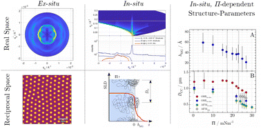 Graphical abstract: In situ vs ex situ: comparing the structure of PNIPAM microgels at the air/water and air/solid interfaces