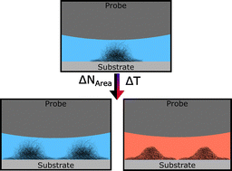 Graphical abstract: Investigation of microgel monolayers with the colloidal probe technique: how concentration and temperature allow tuning the properties of a microgel coating