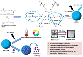 Graphical abstract: Dual stimuli-responsive biocompatible fluorescent hyperbranched poly(β-aminoester) for the detection of physiological temperature and pH and controlled delivery