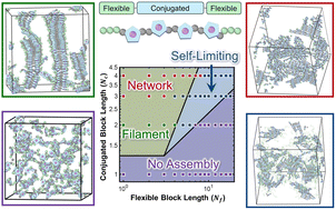 Graphical abstract: Entropically controlled assemblies of conjugated amphiphiles