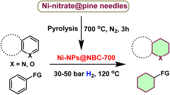 Graphical abstract: A biomass-derived nickel-based nanomaterial as a sustainable and reusable catalyst for hydrogenation of arenes and heteroarenes