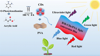 Graphical abstract: Preparation of high-performance blue-red dual-emission carbon dots and their application in light conversion films