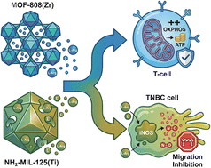 Graphical abstract: MOF-based arginine nanocarriers for coordinated immunometabolic and antitumor modulation in triple negative breast cancer
