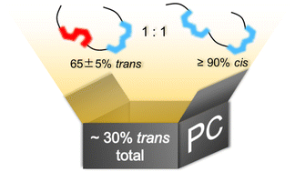 Graphical abstract: Single-chain level decoding of the conformational distribution in bisphenol A polycarbonate