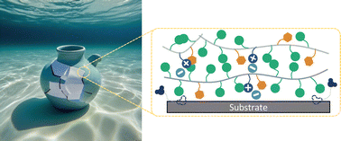 Graphical abstract: A bioinspired hydrogel with balanced adhesion and compliance for reversible underwater adhesion