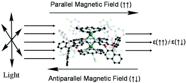 Graphical abstract: Magneto-chiral dichroism in chiral mixed (phthalocyaninato)(porphyrinato) rare earth triple-decker SMMs