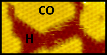 Graphical abstract: Segregation of Fischer–Tropsch reactants on cobalt nanoparticle surfaces