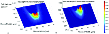 Graphical abstract: Computational cell analysis for label-free detection of cell properties in a microfluidic laminar flow