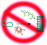 Graphical abstract: Foldamer scaffolds suggest distinct structures are associated with alternative gains-of-function in a preamyloid toxin