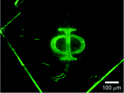 Graphical abstract: Turn-on mode fluorescence photoswitching of diarylethene single crystals