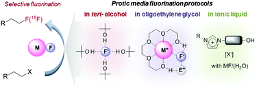 Graphical abstract: Hydrogen-bond promoted nucleophilic fluorination: concept, mechanism and applications in positron emission tomography