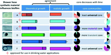 Graphical abstract: Biofilms in shower hoses – choice of pipe material influences bacterial growth and communities