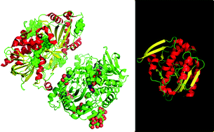 Graphical abstract: Enzyme catalysis in organic synthesis