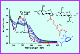 Graphical abstract: Nanoparticles of chitosan conjugated to organo-ruthenium complexes