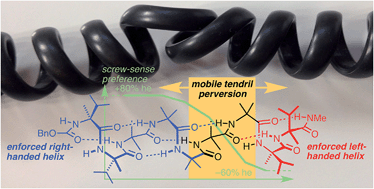 Graphical abstract: A tendril perversion in a helical oligomer: trapping and characterizing a mobile screw-sense reversal