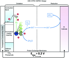 Graphical abstract: Mechanisms of molecular water oxidation in solution and on oxide surfaces