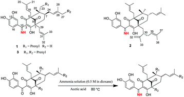 Graphical abstract: Garciyunnanimines A–C, novel cytotoxic polycyclic polyprenylated acylphloroglucinol imines from Garcinia yunnanensis