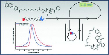 Graphical abstract: Photo-induced ring-closure via a looped flow reactor