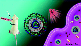 Graphical abstract: 808 nm near-infrared light controlled dual-drug release and cancer therapy in vivo by upconversion mesoporous silica nanostructures