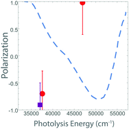 Graphical abstract: Photofragment spin-polarization measurements via magnetization quantum beats: dynamics of DI photodissociation