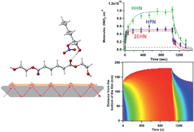 Graphical abstract: Understanding interactions of organic nitrates with the surface and bulk of organic films: implications for particle growth in the atmosphere