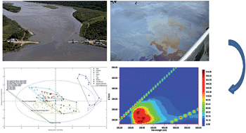 Graphical abstract: Monitoring of polycyclic aromatic hydrocarbon contamination at four oil spill sites using fluorescence spectroscopy coupled with parallel factor-principal component analysis