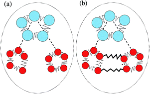 Graphical abstract: Fully quantum calculation of the second and third virial coefficients of water and its isotopologues from ab initio potentials