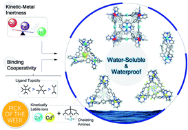 Graphical abstract: Waterproof architectures through subcomponent self-assembly